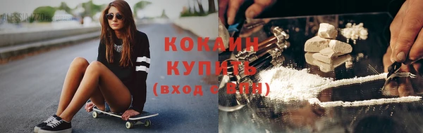 тгк Бородино