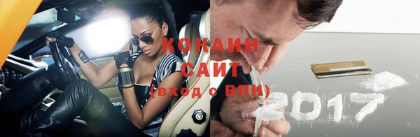 тгк Бородино