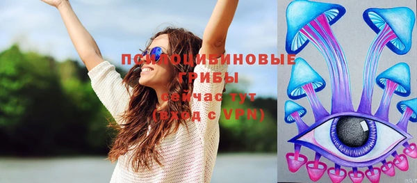 тгк Бородино