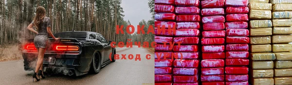 тгк Бородино
