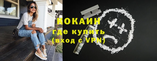 тгк Бородино