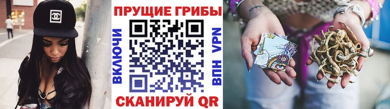 Купить  Плавск  Галлюциногенные грибы прущие грибы 
